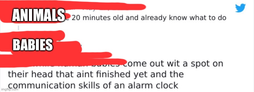 ANIMALS; BABIES | made w/ Imgflip meme maker