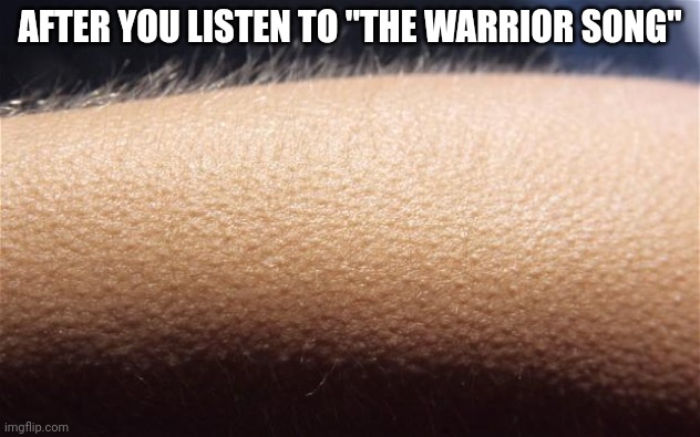 Goosebumps | AFTER YOU LISTEN TO "THE WARRIOR SONG" | image tagged in goosebumps | made w/ Imgflip meme maker