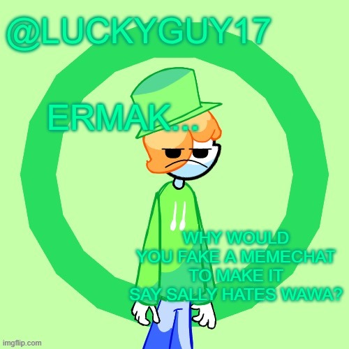 LuckyGuy17 Template | ERMAK... WHY WOULD YOU FAKE A MEMECHAT TO MAKE IT SAY SALLY HATES WAWA? | image tagged in luckyguy17 template | made w/ Imgflip meme maker