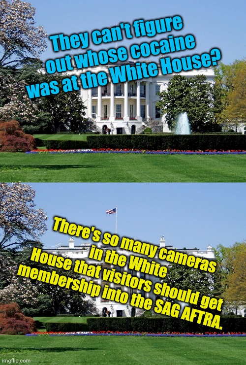 They can't figure out whose cocaine was at the White House? There's so many cameras in the White 
 House that visitors should get membership into the SAG AFTRA. | image tagged in white house | made w/ Imgflip meme maker