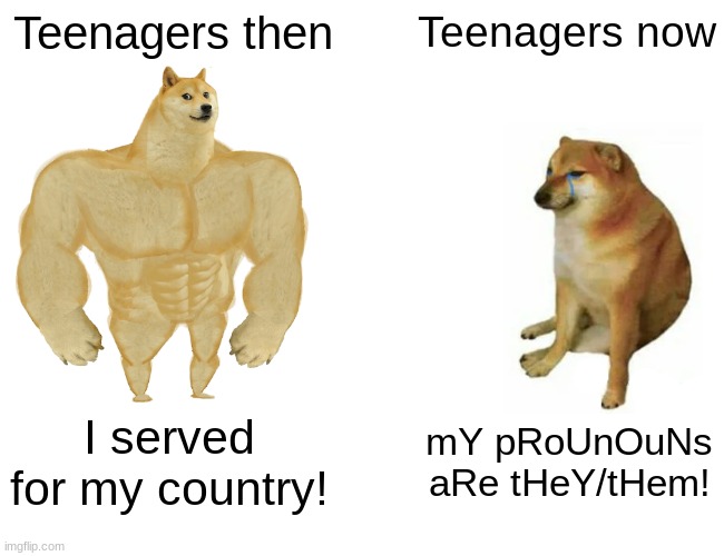 Teenagers then VS Teenagers now | Teenagers then; Teenagers now; I served for my country! mY pRoUnOuNs aRe tHeY/tHem! | image tagged in memes,buff doge vs cheems | made w/ Imgflip meme maker