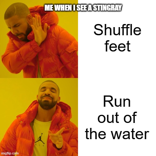 Drake Hotline Bling | Shuffle feet; ME WHEN I SEE A STINGRAY; Run out of the water | image tagged in memes,drake hotline bling | made w/ Imgflip meme maker