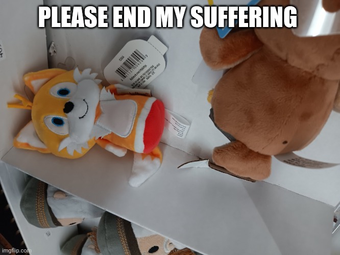 Please end my suffering | PLEASE END MY SUFFERING | image tagged in please end my suffering | made w/ Imgflip meme maker