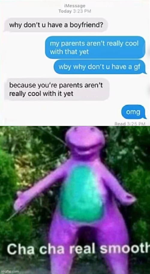 Cha Cha real smooth | image tagged in cha cha real smooth,smooth,barney,middle school,funny,rizz | made w/ Imgflip meme maker
