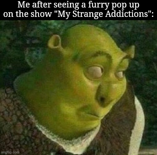 I'm serious about the furry popping up on the show | Me after seeing a furry pop up on the show "My Strange Addictions": | image tagged in oops shrek | made w/ Imgflip meme maker