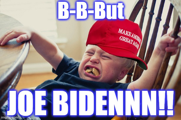 Toddler Tantrum | B-B-But JOE BIDENNN!! | image tagged in toddler tantrum | made w/ Imgflip meme maker