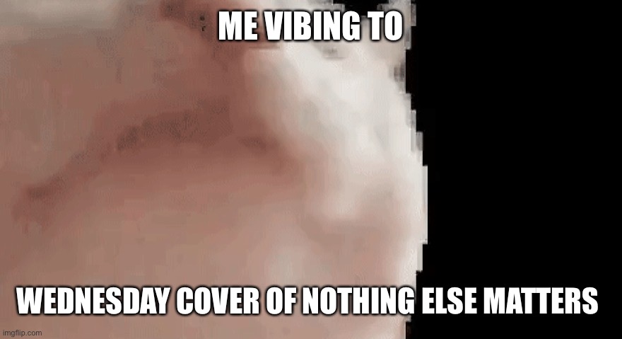 Vibing cat | ME VIBING TO; WEDNESDAY COVER OF NOTHING ELSE MATTERS | image tagged in vibing cat | made w/ Imgflip meme maker