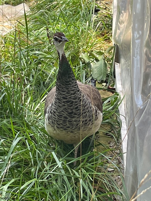 No context | made w/ Imgflip meme maker