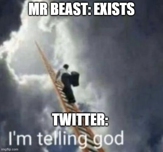 true | MR BEAST: EXISTS; TWITTER: | image tagged in im telling god | made w/ Imgflip meme maker