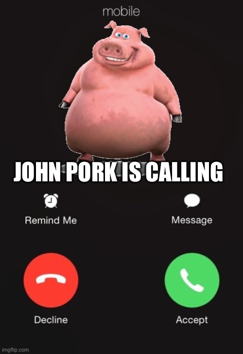 Incoming call | JOHN PORK IS CALLING | image tagged in incoming call | made w/ Imgflip meme maker