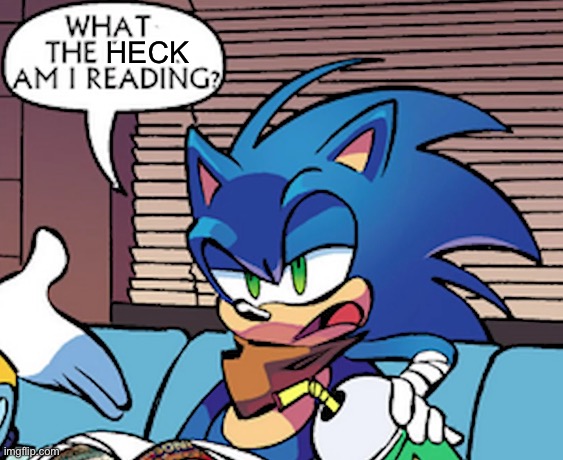 sonic wtf am i reading | HECK | image tagged in sonic wtf am i reading | made w/ Imgflip meme maker