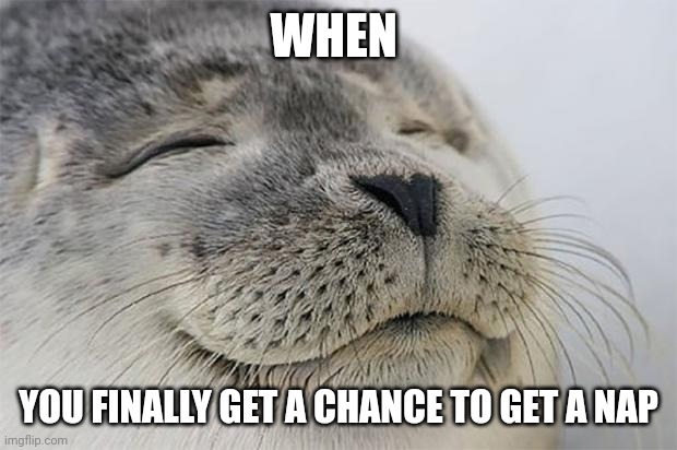 When I get a nap | WHEN; YOU FINALLY GET A CHANCE TO GET A NAP | image tagged in memes,satisfied seal | made w/ Imgflip meme maker