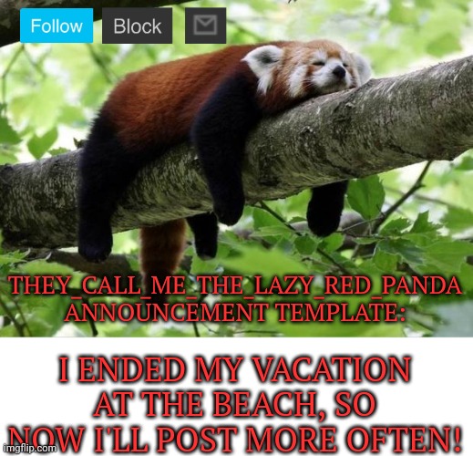 :) | THEY_CALL_ME_THE_LAZY_RED_PANDA ANNOUNCEMENT TEMPLATE:; I ENDED MY VACATION AT THE BEACH, SO NOW I'LL POST MORE OFTEN! | image tagged in lazy red panda,memes,announcement | made w/ Imgflip meme maker