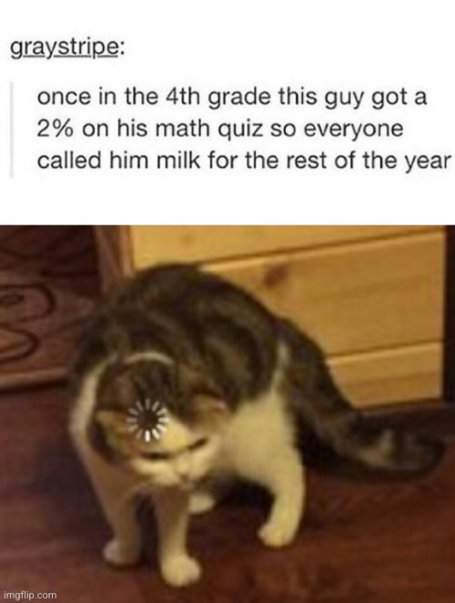 Meme #2,953 | image tagged in loading cat,memes,insults,funny,school,test | made w/ Imgflip meme maker