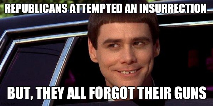 dumb and dumber | REPUBLICANS ATTEMPTED AN INSURRECTION BUT, THEY ALL FORGOT THEIR GUNS | image tagged in dumb and dumber | made w/ Imgflip meme maker