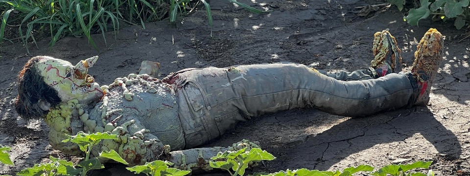 Smash or pass | made w/ Imgflip meme maker