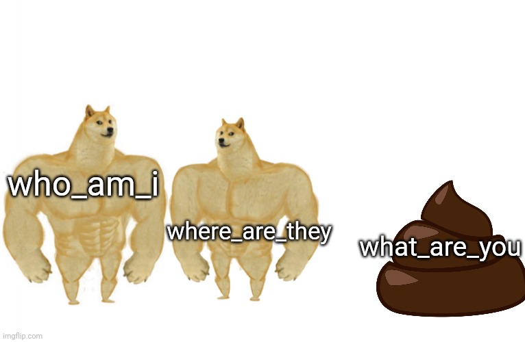 Chad doge vs chad doge vs cheems | who_am_i where_are_they what_are_you | image tagged in chad doge vs chad doge vs cheems | made w/ Imgflip meme maker