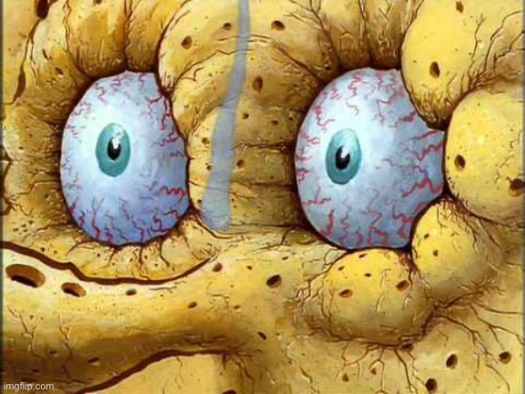 Spongebob I don't need it | image tagged in spongebob i don't need it | made w/ Imgflip meme maker