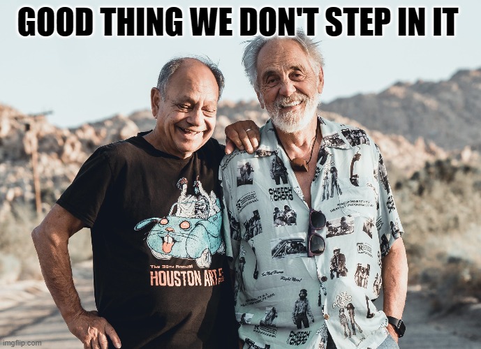 GOOD THING WE DON'T STEP IN IT | GOOD THING WE DON'T STEP IN IT | image tagged in cheech and chong | made w/ Imgflip meme maker