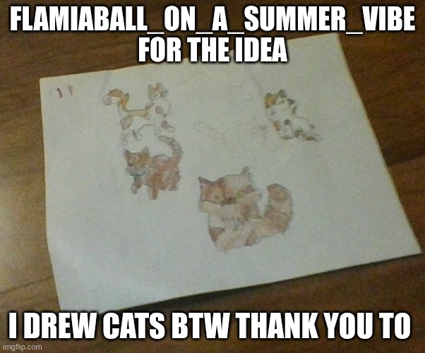 cats | FLAMIABALL_ON_A_SUMMER_VIBE FOR THE IDEA; I DREW CATS BTW THANK YOU TO | made w/ Imgflip meme maker