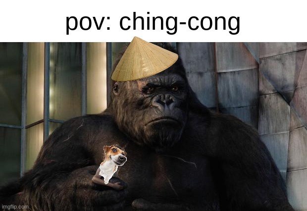 get it? | pov: ching-cong | image tagged in king kong,racist,ching chong,asian | made w/ Imgflip meme maker