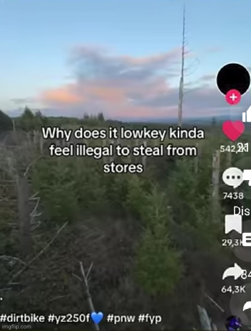 idk it feels like that for me too | image tagged in eyeroll,tiktok,facepalm,whyyy,stealing,store | made w/ Imgflip meme maker