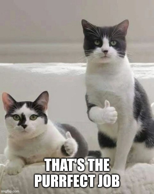 THUMBS UP CATS | THAT'S THE PURRFECT JOB | image tagged in thumbs up cats | made w/ Imgflip meme maker