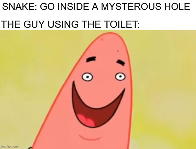 Careful when using outhouses | THE GUY USING THE TOILET:; SNAKE: GO INSIDE A MYSTEROUS HOLE | image tagged in patrick small face,spongebob,dank memes,spongebob squarepants,patrick,patrick star | made w/ Imgflip meme maker