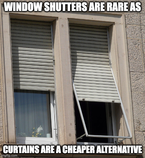 Window Roller Shutters | WINDOW SHUTTERS ARE RARE AS; CURTAINS ARE A CHEAPER ALTERNATIVE | image tagged in shutter,memes,window | made w/ Imgflip meme maker