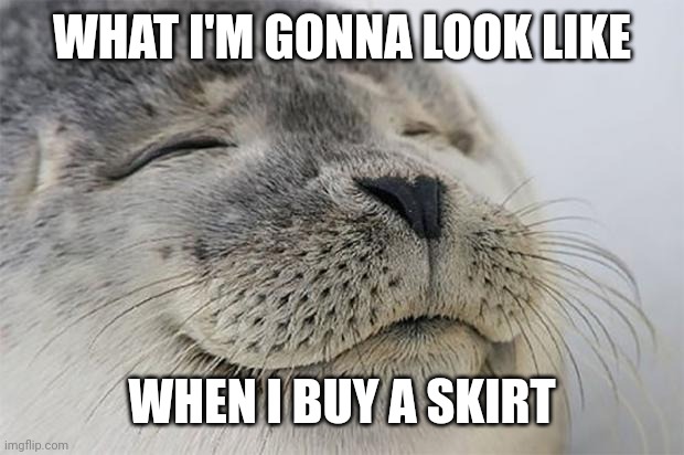 I'm on some femboy sh*t right now help me | WHAT I'M GONNA LOOK LIKE; WHEN I BUY A SKIRT | image tagged in memes,satisfied seal,lgbtq,femboy | made w/ Imgflip meme maker