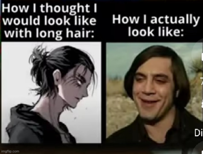 did we forget to mention anime isn't real? | image tagged in funny,hair,long hair,anime,sad,sad but true | made w/ Imgflip meme maker