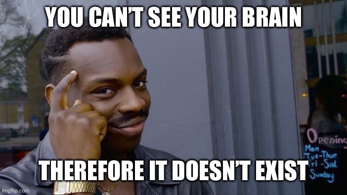 Roll Safe Think About It Meme | YOU CAN’T SEE YOUR BRAIN THEREFORE IT DOESN’T EXIST | image tagged in memes,roll safe think about it | made w/ Imgflip meme maker