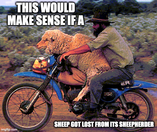 Sheep on a Motorcycle | THIS WOULD MAKE SENSE IF A; SHEEP GOT LOST FROM ITS SHEEPHERDER | image tagged in sheep,motorcycle,memes | made w/ Imgflip meme maker