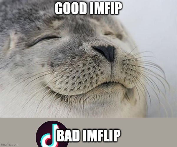 Satisfied Seal | GOOD IMFIP; BAD IMFLIP | image tagged in memes,satisfied seal | made w/ Imgflip meme maker