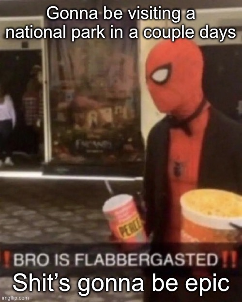 Bro is flabbergasted | Gonna be visiting a national park in a couple days; Shit’s gonna be epic | image tagged in bro is flabbergasted | made w/ Imgflip meme maker