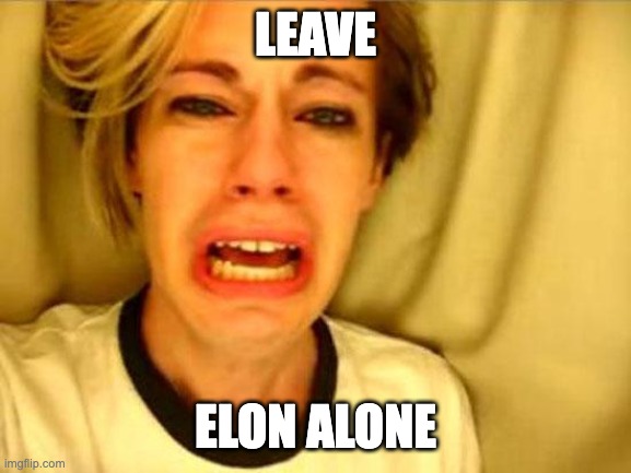 Leave Britney Alone | LEAVE; ELON ALONE | image tagged in leave britney alone | made w/ Imgflip meme maker