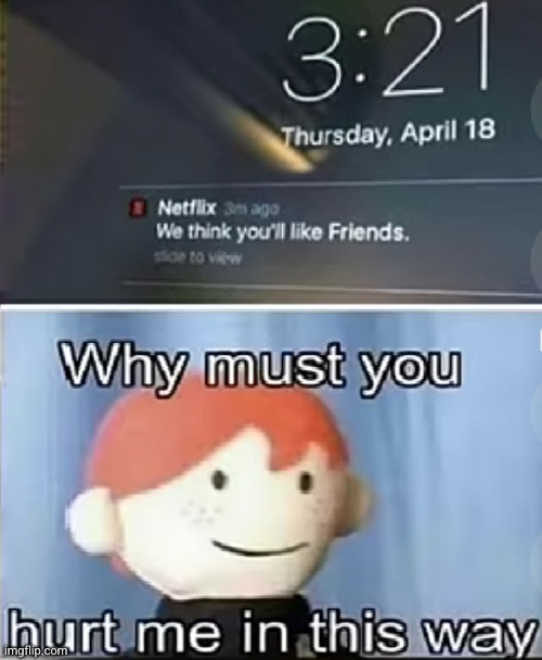 getting roasted by netflix | image tagged in netflix,funny,friends,damnnnn you got roasted,roasted,antisocial | made w/ Imgflip meme maker