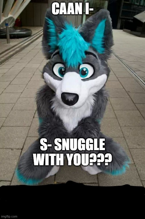 (Wasn't sure whether to mark this NSFW or not, so uhh yeah - Chien-pao) | CAAN I-; S- SNUGGLE WITH YOU??? | image tagged in furry | made w/ Imgflip meme maker