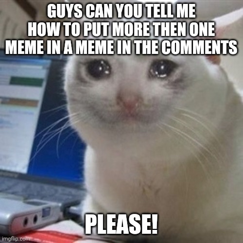 Crying cat | GUYS CAN YOU TELL ME HOW TO PUT MORE THEN ONE MEME IN A MEME IN THE COMMENTS; PLEASE! | image tagged in crying cat | made w/ Imgflip meme maker