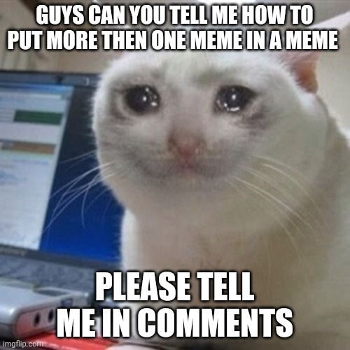 Crying cat | GUYS CAN YOU TELL ME HOW TO PUT MORE THEN ONE MEME IN A MEME; PLEASE TELL ME IN COMMENTS | image tagged in crying cat | made w/ Imgflip meme maker