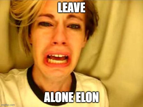 Leave Britney Alone | LEAVE; ALONE ELON | image tagged in leave britney alone | made w/ Imgflip meme maker