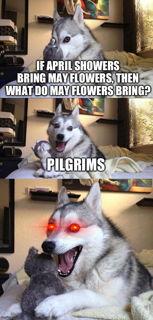 clever title | IF APRIL SHOWERS BRING MAY FLOWERS, THEN WHAT DO MAY FLOWERS BRING? PILGRIMS | image tagged in memes,bad pun dog,dad joke,pilgrims,eyeroll,facepalm | made w/ Imgflip meme maker