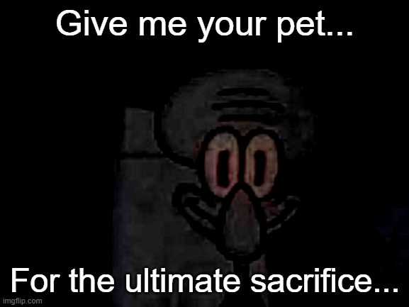 Staring Squidward | Give me your pet... For the ultimate sacrifice... | image tagged in staring squidward | made w/ Imgflip meme maker