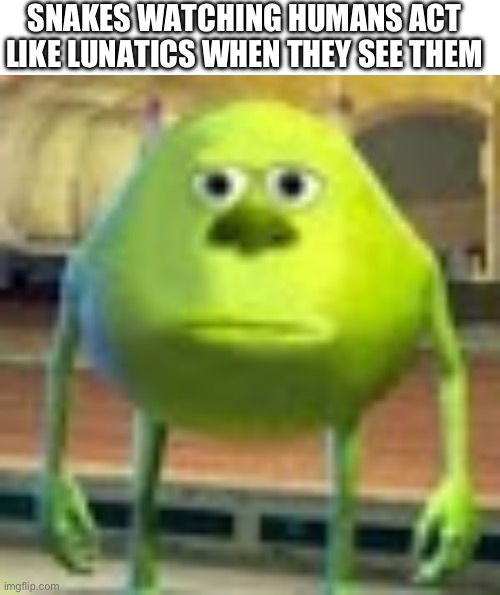 SNAKES WATCHING HUMANS ACT LIKE LUNATICS WHEN THEY SEE THEM | image tagged in memes,blank transparent square,sully wazowski | made w/ Imgflip meme maker