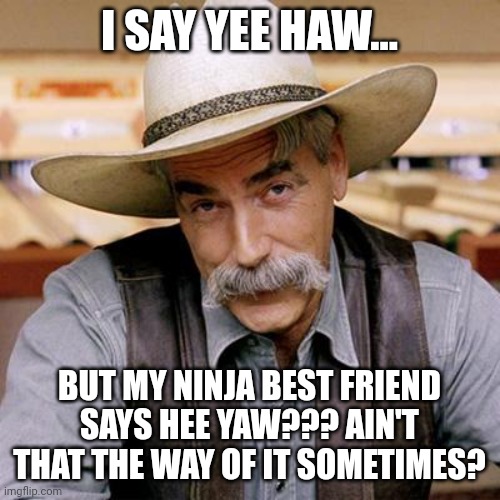 Yee haw or hee yaw??? | I SAY YEE HAW... BUT MY NINJA BEST FRIEND SAYS HEE YAW??? AIN'T THAT THE WAY OF IT SOMETIMES? | image tagged in sarcasm cowboy | made w/ Imgflip meme maker