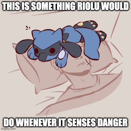 Riolu on Trainer's Face | THIS IS SOMETHING RIOLU WOULD; DO WHENEVER IT SENSES DANGER | image tagged in riolu,pokemon,memes | made w/ Imgflip meme maker