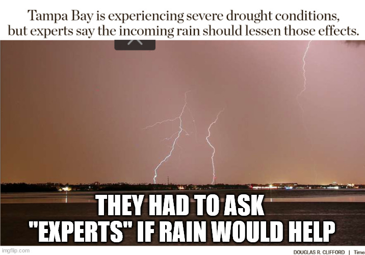 THEY HAD TO ASK  "EXPERTS" IF RAIN WOULD HELP | image tagged in msm,the expert,rain is wet | made w/ Imgflip meme maker