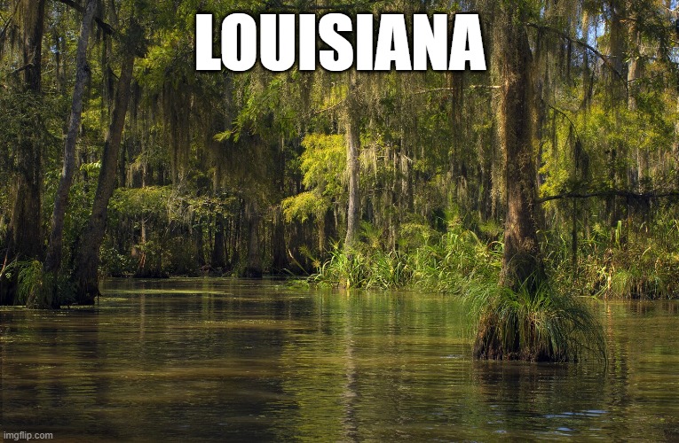 LOUISIANA | made w/ Imgflip meme maker