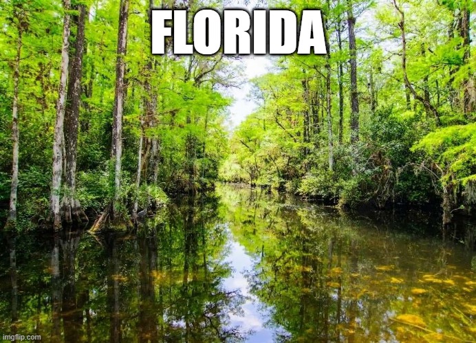 FLORIDA | made w/ Imgflip meme maker