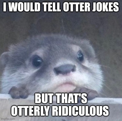 So ridiculous | I WOULD TELL OTTER JOKES; BUT THAT'S OTTERLY RIDICULOUS | image tagged in i otter,wholesome,puns | made w/ Imgflip meme maker